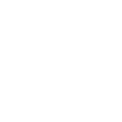 Optimized Academy